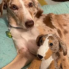 Mini Pet Custom Pet Plush Knitted