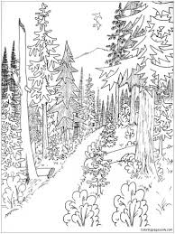 For boys and girls, kids and adults, teenagers and toddlers, preschoolers and older kids at school. Mixed Conifer Forest Coloring Pages Forest Coloring Pages Coloring Pages For Kids And Adults