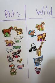 A Is For Animal Learning And Sorting Kids Activity Shannon Bellanca Kendall Mcmahon Lump Toy Animal Activities For Kids Pets Preschool Theme Animal Learning