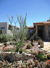 *indicates plant native to el paso county common name comments available? An El Paso Garden Tour Garden Tours Plants Outdoor Remodel