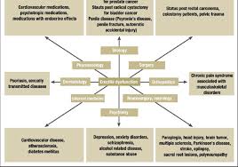Figure Erectile Dysfunction Secondary To Disorders And Or Their Treatment Download Scientific Diagram