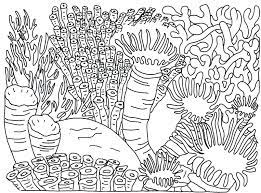 We did not find results for: Easy Coloring Easy Coral Reef Drawing Novocom Top