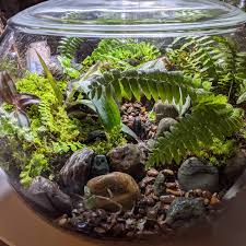 Large Globe I Found At The Thrift Store Terrariums In 2020 Garden Globes Miniature Garden Moss Terrarium