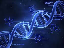 Paternity testing and other similar dna tests are the gold standard for identifying biological. Dna Definition Shape Replication And Mutation