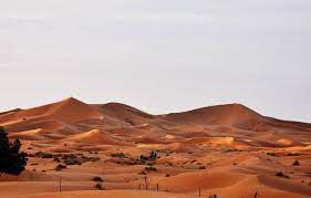 A camels nostrils can close so it doesn't get sand up its nose. The Camel A Living Air Conditioner Blogionik