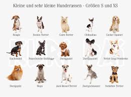 Pin Auf Produkte