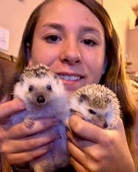 I don't know if this is allowed but I thought this would be a good thing to  post in this group. If not allowed I'm sorry and you can delete it. |