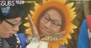 Yoo suk Jin Sunflower