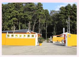 千葉でペット葬儀なら必見！オススメ霊園BEST5