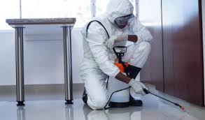 Moving into a new home can be daunting. Pest Control Archives Pest Control