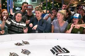 Restaurants near crafted tap house & kitchen. Crafted S Turtle Races Packs Em In The Spokesman Review