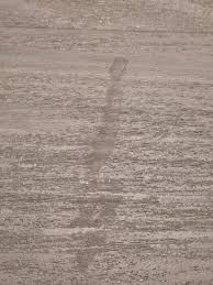 Image result for site:byggahus.se missfärgning