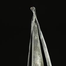 Bildergebnis für Joseph Havel