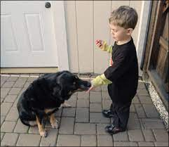 Your Children Should Help Train The Dog Whole Dog Journal