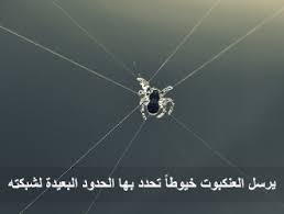 الروائع العلمية الرائعة 008 خيط العنكبوت أقوى من الفولاذ ولماذا بيته ضعيفا موسوعة النابلسي للعلوم الإسلامية