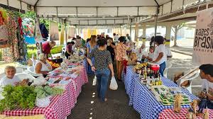 Estivemos reunidos hoje (3), com o Coordenador de Articulação Institucional  da Fundação Renascer, Professor Eudes Bomfim, juntamente com a nossa  Diretora de Projetos, Rosina Rocha e que tem à frente da Fundação