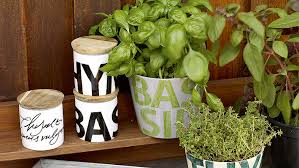 How to create a herb garden. Create And Decorate An Indoor Herb Garden Ideas Edding