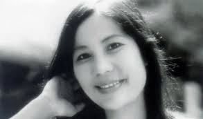 Hồn đầy hoa cúc dại