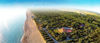 Bungalow Am Meer In Der Toskana Campingplatz In Marina Di Bibbona Und Mobilheime In Der Toskana Am Meer Le Esperidi