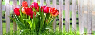 This business listing is provided by Wild Flowers Of Oregon Home Facebook