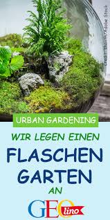 Flaschengarten Zieht Pflanzen Im Glas Flaschengarten Pflanzen Diy Krautergarten