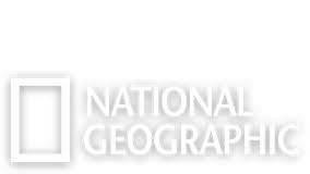 National geographic | četvrtak 31. National Geographic Tv Shows Specials Documentaries