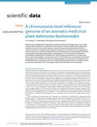 Image result for Buchnera buchneroides