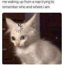 Me Waking Up From A Nap Trying To Remember Meme Ahseeit