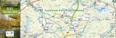 We did not find results for: Bory Tucholskie Biosfera Aktualnosci Plan Pl