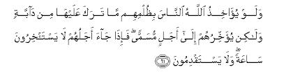 Bacaan hukum bacaan qalqalah 2. Surah An Nahl Arabic Text With English Translation