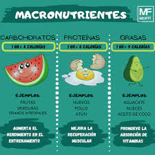 Hay múltiples ejemplos de micronutrientes y macronutrientes. Macronutrientes Que Son Y Que Funciones Tienen En Nuestro Cuerpo Mufit