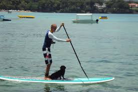 Check spelling or type a new query. Catamaran Tip Top Tours Paddle Board Excursions Snorkel Trips Home Facebook