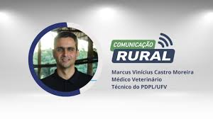 Entrevista: Marcus Vinícius Castro Moreira, Médico Veterinário, Coordenador  Técnico do PDPL/UFV