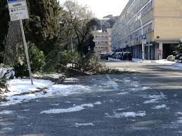 41 case economiche, villaggio olimpico, roma. Neve A Villaggio Olimpico Il Quartiere Dimenticato Rami Sulla Strada Alberi Pericolanti E Degrado Diffuso La Denuncia Dei Residenti Villaggio Olimpico 1960