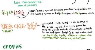 Pin On Teaching Stuff