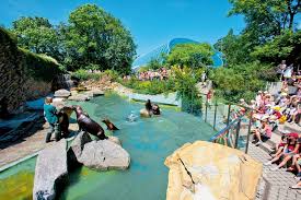Zoo lešná předcházela bažantí obora, založená r. Nejnavstevovanejsim Turistickym Cilem Zlinskeho Kraje Zustava Zoo Zlin Zlinsky Kraj