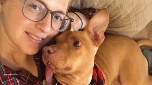 Watch now: Bud's the world's happiest dog. He's missing half of his jaw.