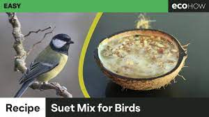 So i like to use this recipe in the summer. How To Make Suet Mix For Birds Youtube