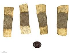 Image result for Entada arenaria