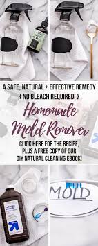 diy mold remover how to get rid of