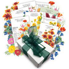 Drought Tolerant Flower Collection Drought Tolerant Drought Chocolate Flowers