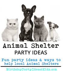 Animal Shelter Party Ideas For Charity Birthday Animal Shelter Donations Animal Shelter Animal Shelter Fundraiser