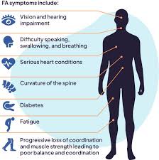 Image result for Ataxia