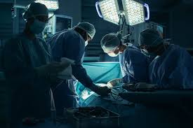 Image result for Transplantation