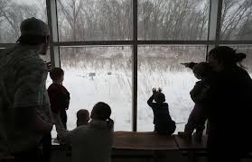 Our Favorite Animal Photos of 2018