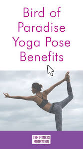 Bird Of Paradise Yoga Pose Benefits In 2020 Bird Of Paradise Yoga Gym Fitness Motivation Yoga Poses