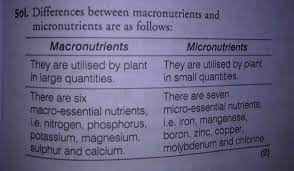 N, k, ca, mg, p, and s are macronutrients while cl, fe, b, mn, zn, cu, mo, and ni are micronutrients. A Distinguish Between Macronutrients And Micronutrients On The Basis Of I Their Functions Ii Brainly In