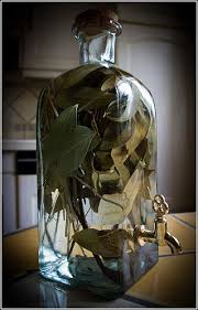 Epingle Par Helena Tiare Olsen Sur Rum Rhum Ron Rhum Arrange Rhum Combava