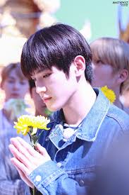 Currently, it spans ten different seasons. Nct Life In Chiang Mai Nct Taeyong Nct Nct Life