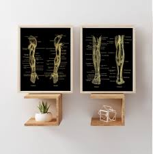 Physical Therapist Gifts